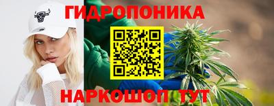 гидра Гусиноозёрск
