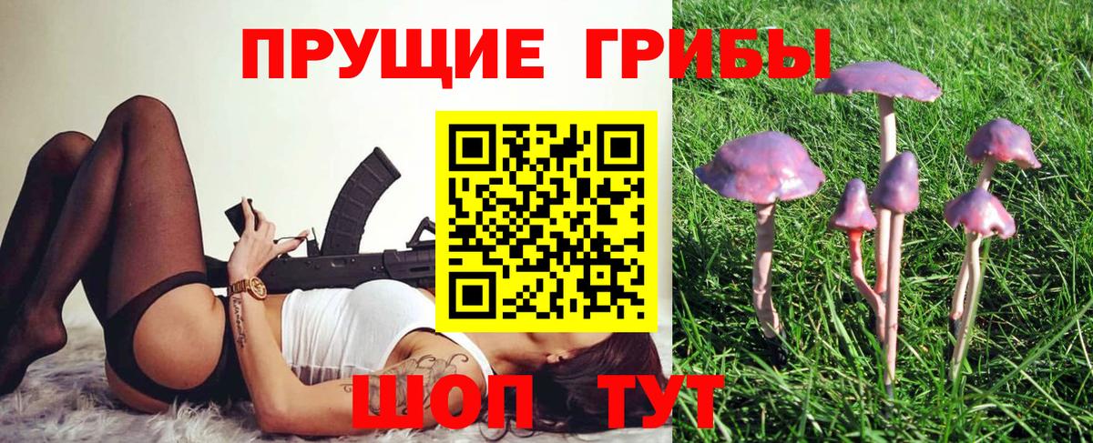 Галлюциногенные грибы Magic Shrooms  Вход с VPN  Москва 