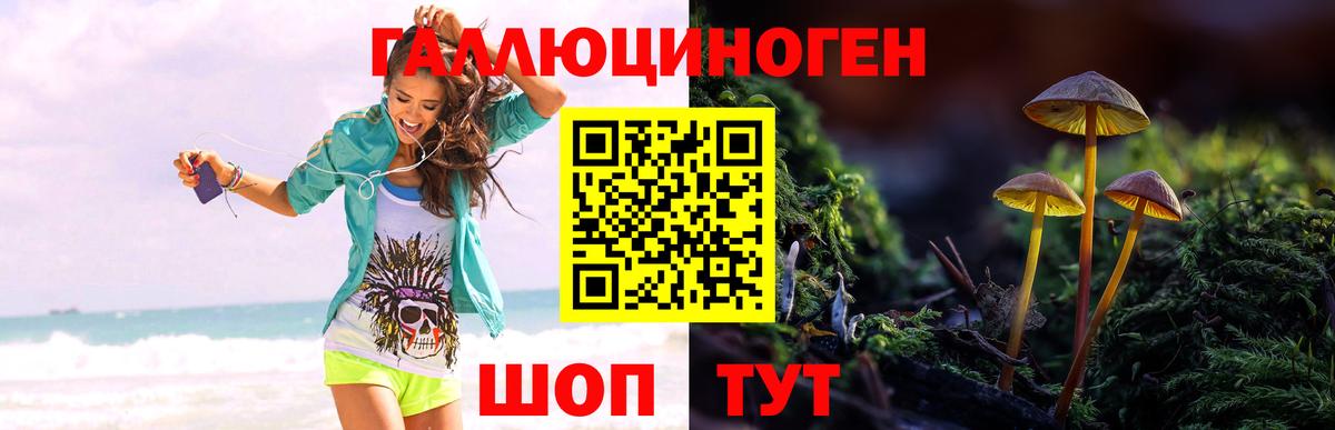 Псилоцибиновые грибы ЛСД Москва